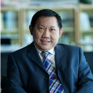 Siah Hwee Ang (Professor and Director of Southeast Asia Centre of Pacific Excellence)