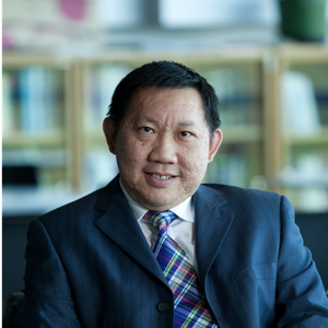 Siah Hwee Ang (Professor & Director of Victoria University of Wellington)