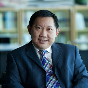 Siah Hwee Ang (Director of Southeast Asia Centre of Asia-Pacific Excellence)