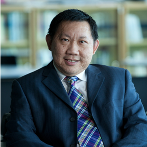 Siah Hwee Ang (Director of Southeast Asia CAPE)